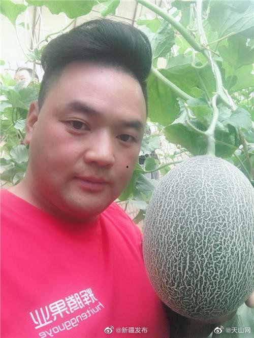 在网上吃瓜