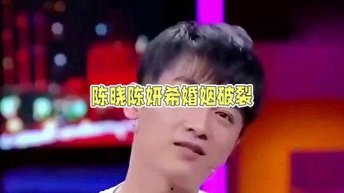 娱乐圈吃瓜陈晓图片大全,揭秘明星幕后生活瞬间